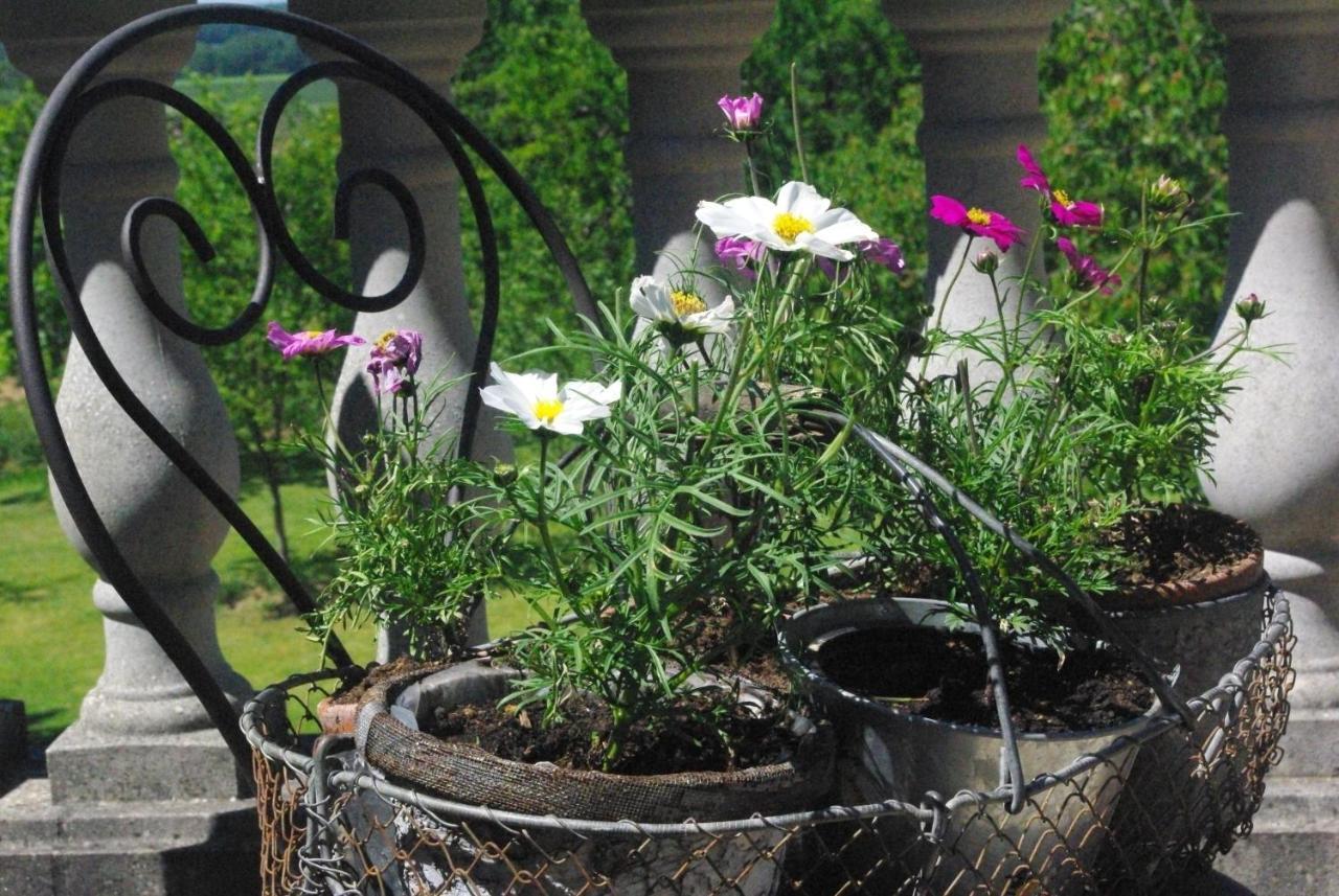 Bed and Breakfast Le Manoir De Crisolles Екстер'єр фото