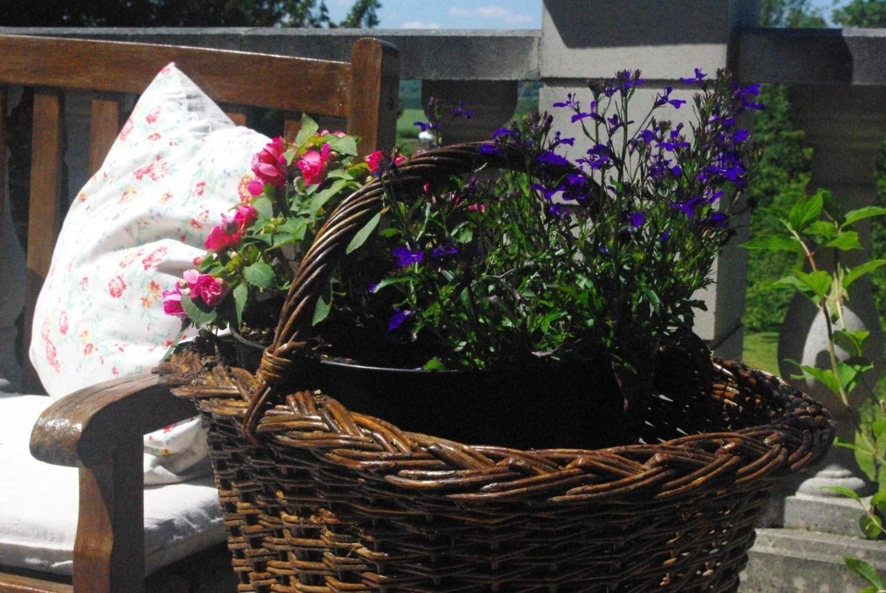 Bed and Breakfast Le Manoir De Crisolles Екстер'єр фото
